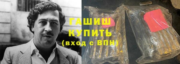 индика Алагир