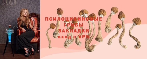 МДПВ Мегион