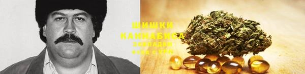 МДПВ Мегион