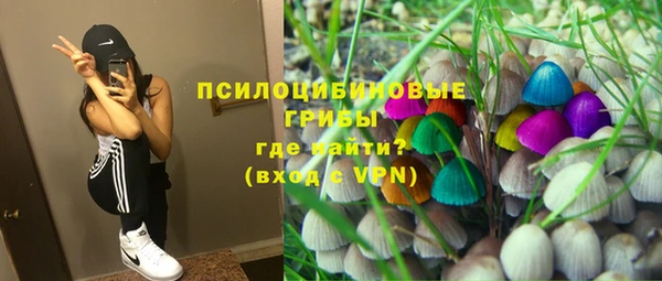 дурь Медвежьегорск