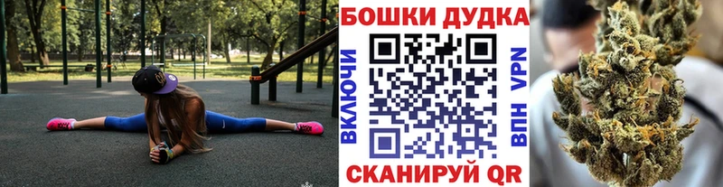 Бошки Шишки ГИДРОПОН  даркнет сайт  Ясногорск 